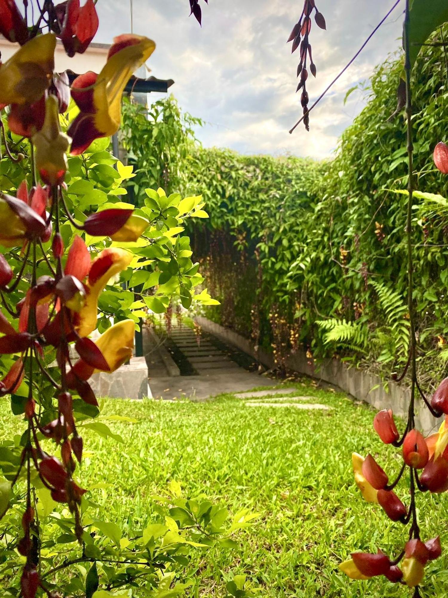Hotel Casa Campestre Hh 金巴亚 外观 照片
